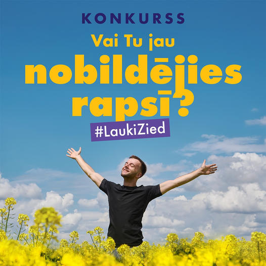 Aicina fotografēties rapsī īpaši izveidotos fotolaukumos