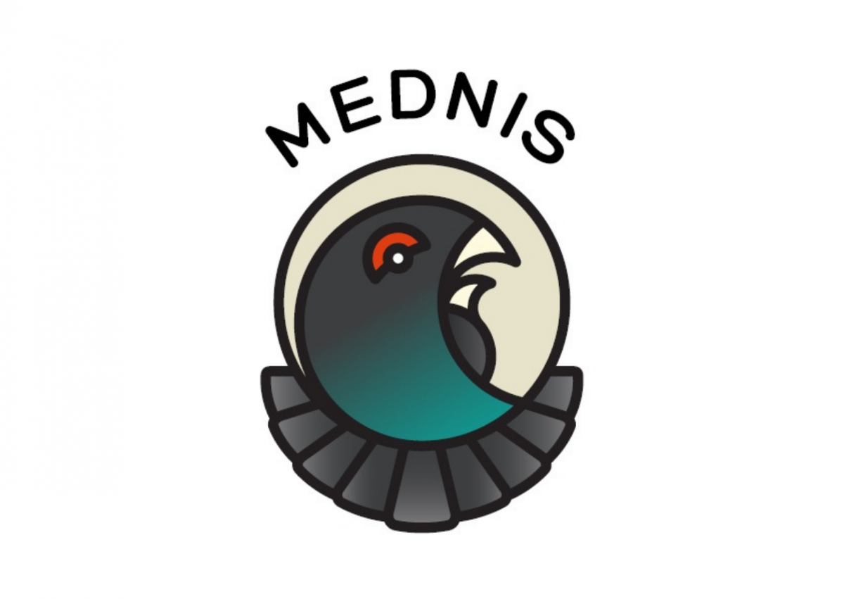 13.lpp_.Publicitates20materials20MEDNIS.png