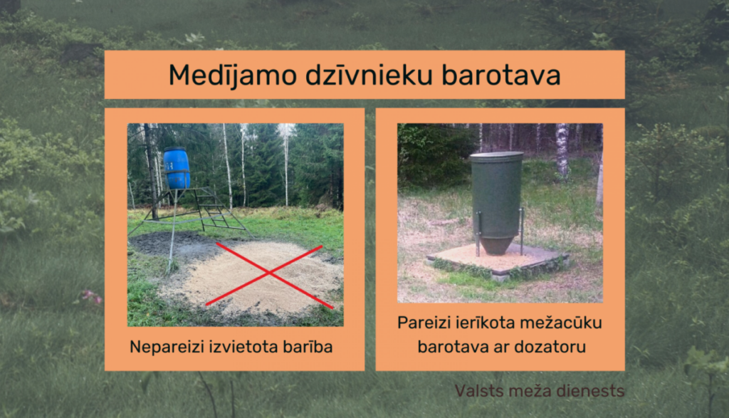 Medījamo dzīvnieku piebarošanas nosacījumi