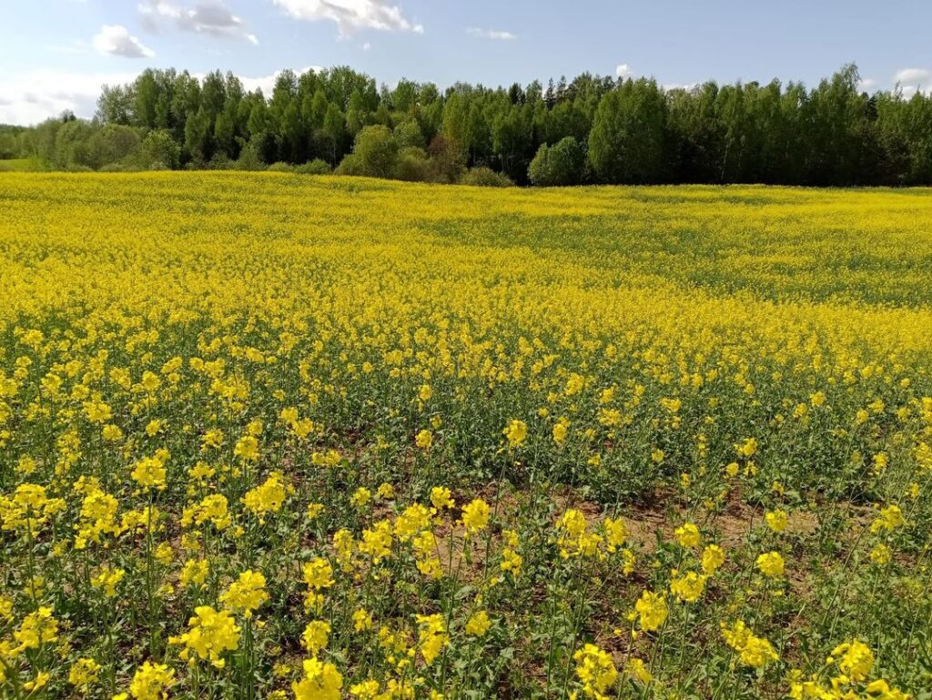 Ziemāji ir apmierinoši, bet izaicinājumu – daudz