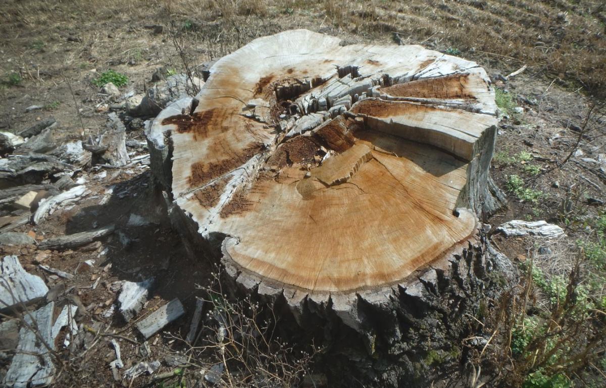 2.foto_33.jpg