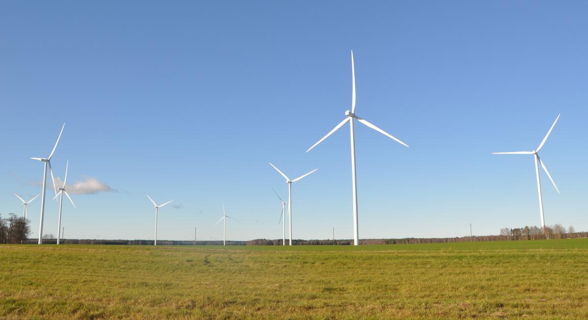2.lpp_.RokiskuVejaparks11_20252028429.jpg