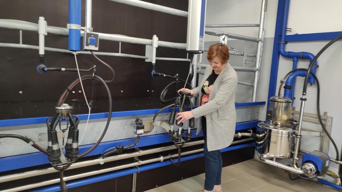 4.lpp_.laboratorija.jpg