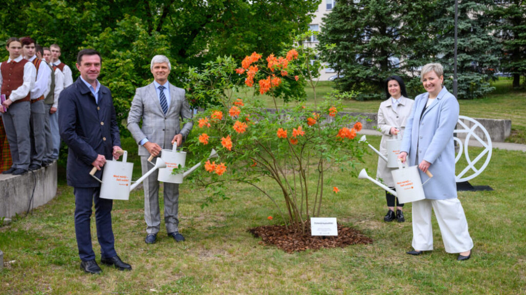 Arī Rēzeknē iestāda jaunu rododendru šķirni – ‘Dziesmusvētki’