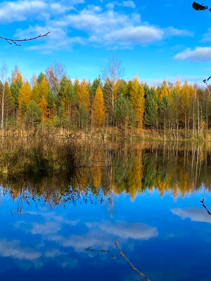 Jāņa Ziemeļa dāvana Latvijai – lapegļu audze
