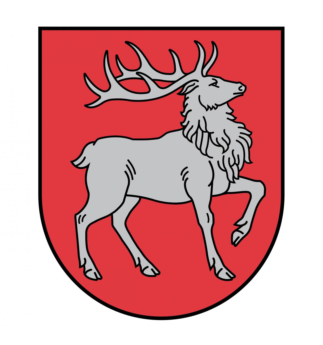 7.lpp_.Selijas20gerbonis2028629.jpg