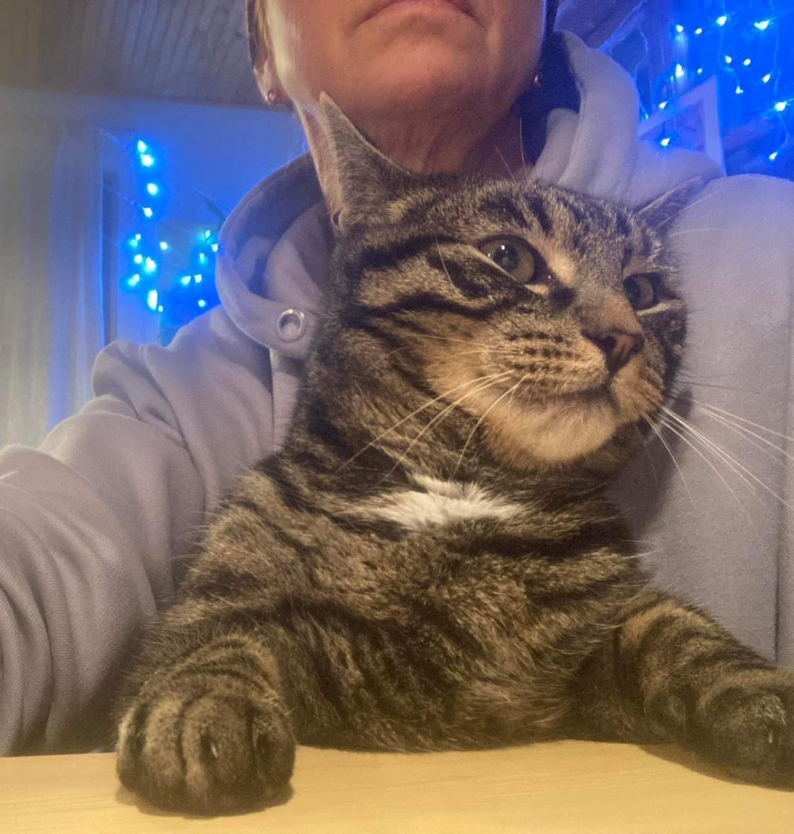 Rokijs03_2023.jpeg