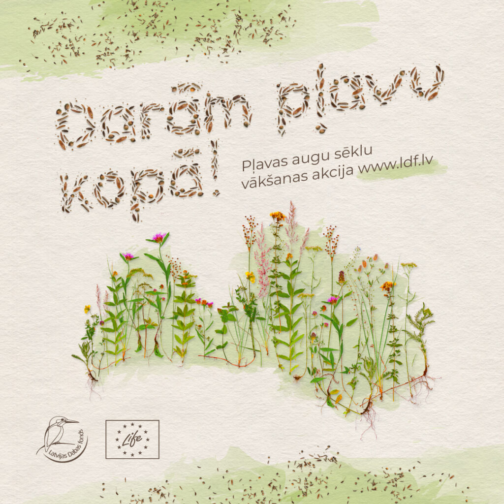 Iesaisties savvaļas augu sēklu vākšanas akcijā “Darām pļavu kopā!”