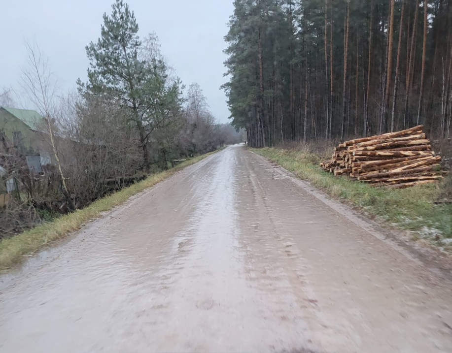 ZEMGALE: Atkala traucēja izpildīt reisus