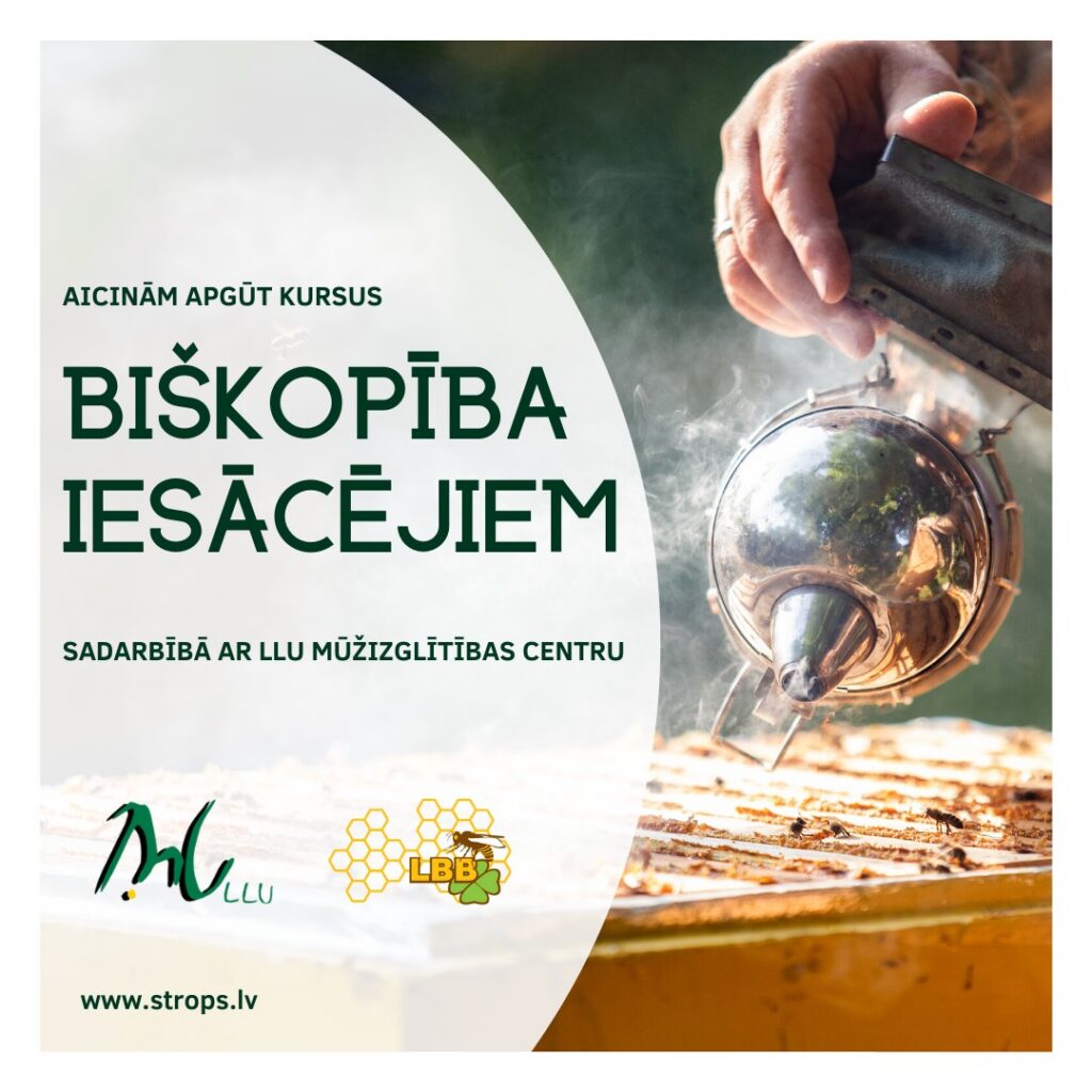 Biškopība iesācējiem