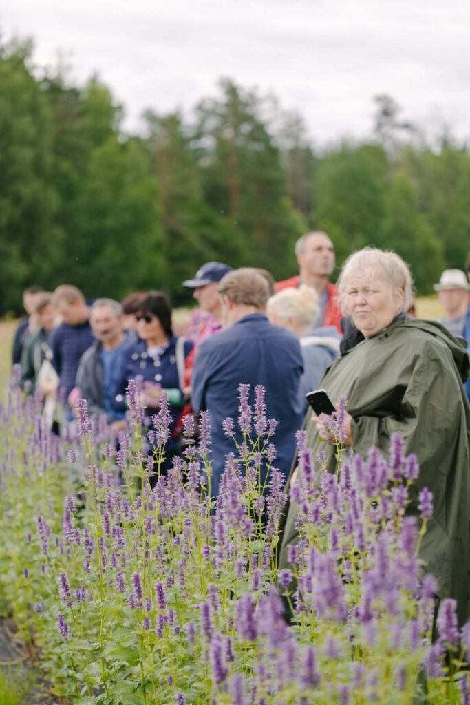 Latvijas medus ražotāju svētki: Biškopju vasaras saiets