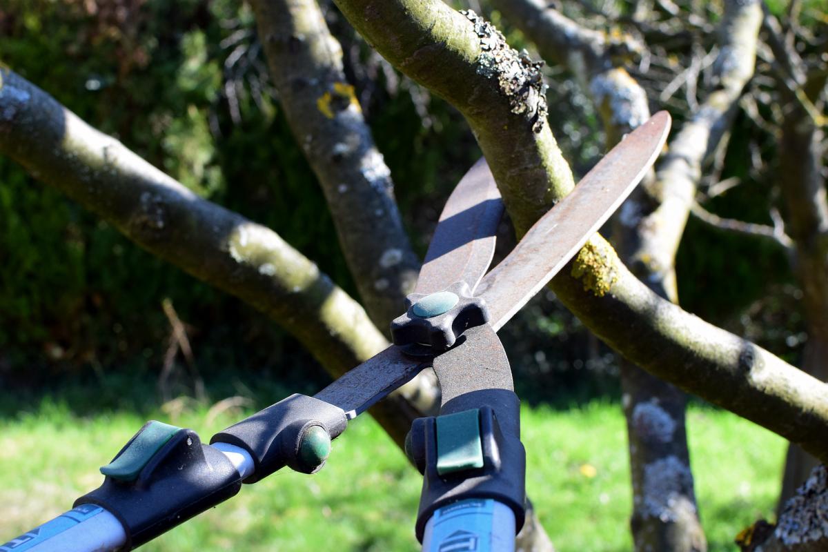 darzaa_pruning-shears-geb02f465a_1920.jpg