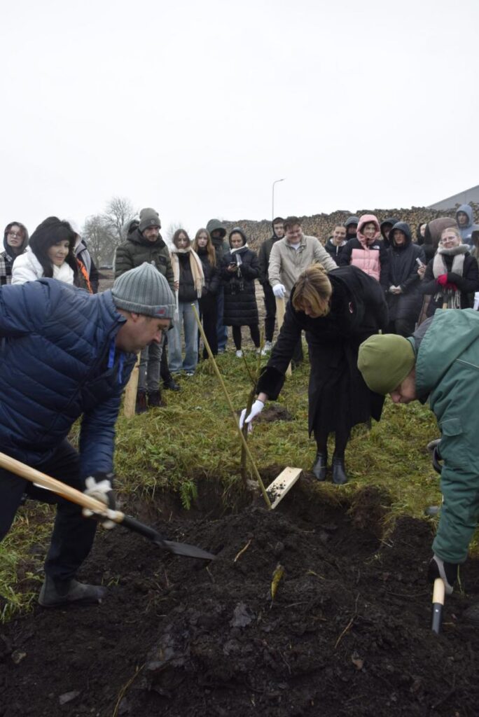 KURZEME: Kuldīgā iestāda valriekstu dārzu