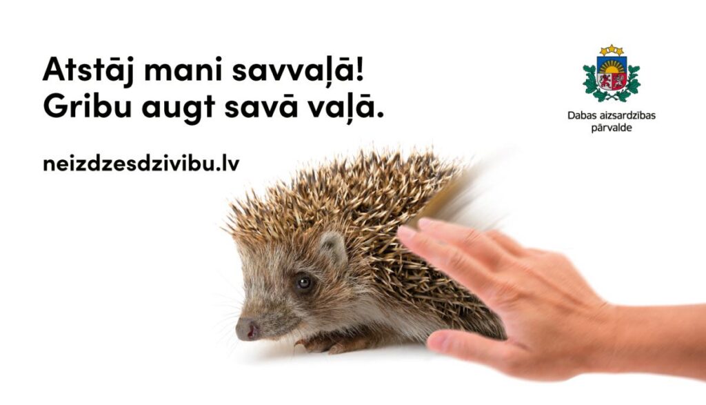 Nepamatota savvaļas dzīvnieku mazuļu glābšana var izraisīt to bojāeju