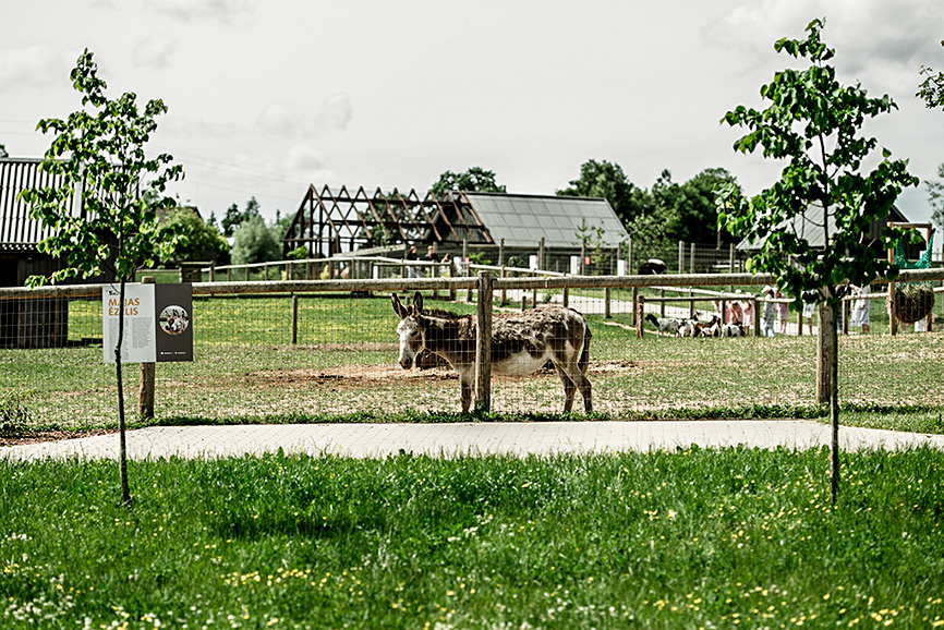 Sigulda ZOO iegulda zoodārza infrastruktūras attīstībā