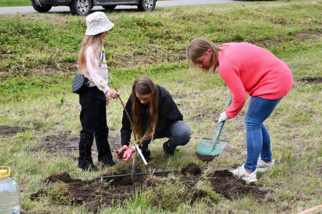 Zirās iestādīti 18 valriekstu koki