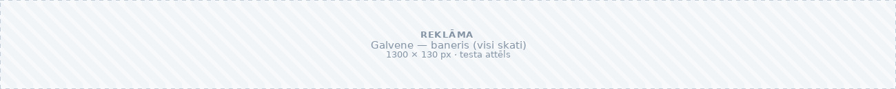 Testa baneris — Galvene — baneris (visi skati)